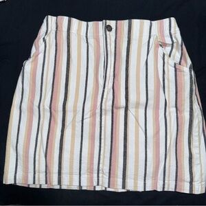 Striped Multicolor Women's Jean Skirt